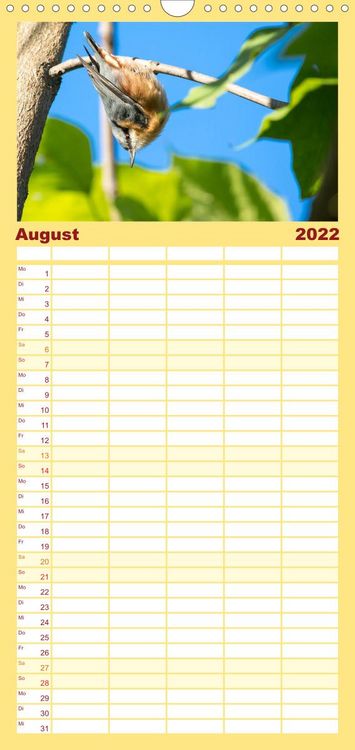 Produktbild: Familienplaner Gartenv&ouml;gel (Wandkalender 2022 , 21 cm x 45 cm, hoch)