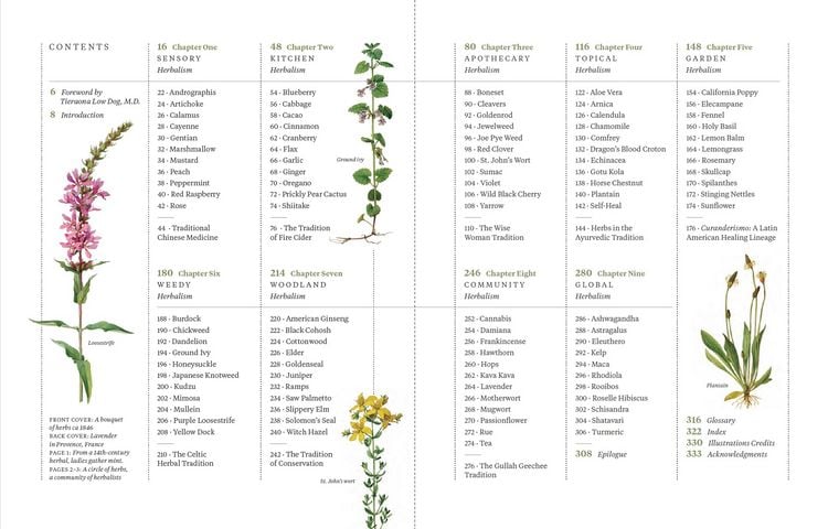 Produktbild: Die ganze Welt der Heilpflanzen