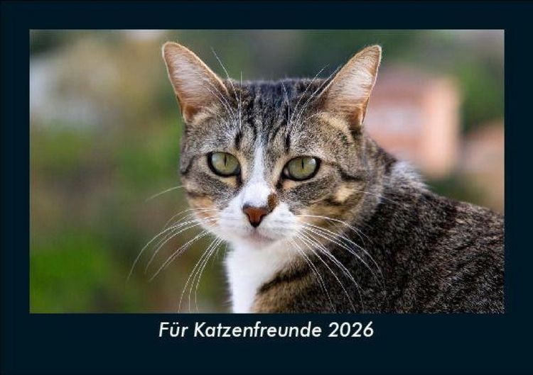 Produktbild: F&uuml;r Katzenfreunde 2026 Fotokalender DIN A5