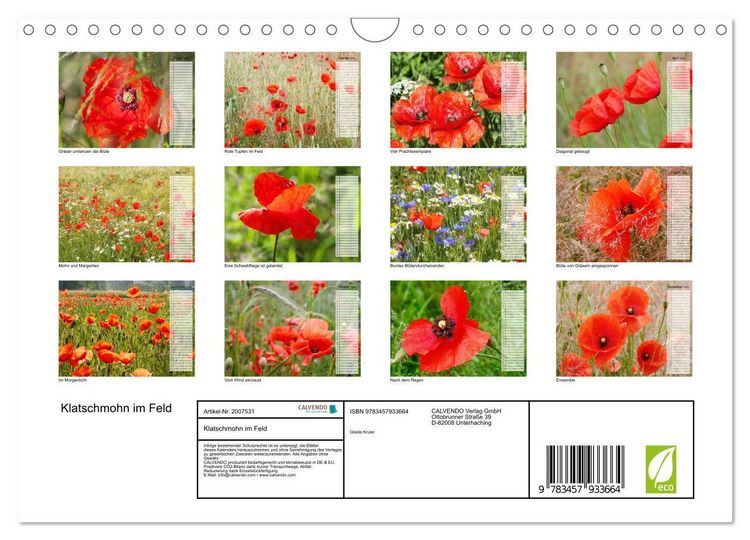 Produktbild: Klatschmohn im Feld (Wandkalender 2026 DIN A4 quer), CALVENDO Monatskalender