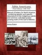 Produktbild: Manual of botany for North America