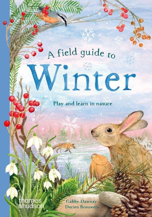 Produktbild: A Field Guide to Winter