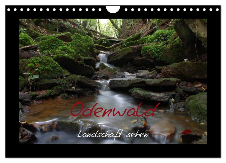 Produktbild: Odenwald - Landschaft sehen (Wandkalender 2026 DIN A4 quer), CALVENDO Monatskalender