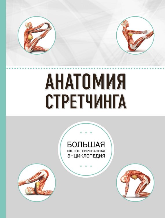 Produktbild: Anatomiya stretchinga. Bolshaya illyustrirovannaya entsiklopediya