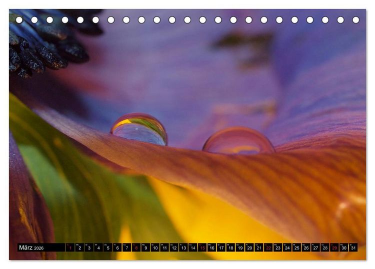 Produktbild: Wassertropfen - Diamanten des Lebens (Tischkalender 2026 DIN A5 quer), CALVENDO Monatskalender