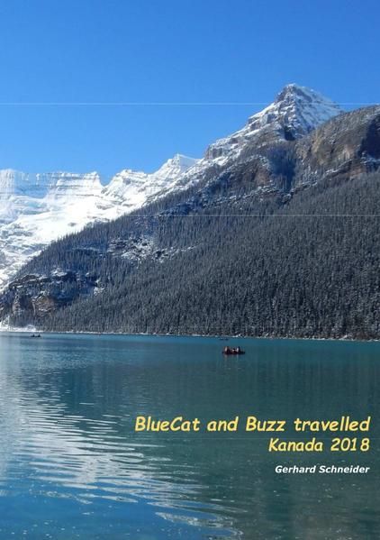 Produktbild: Buzz travelled / BlueCat and Buzz travelled