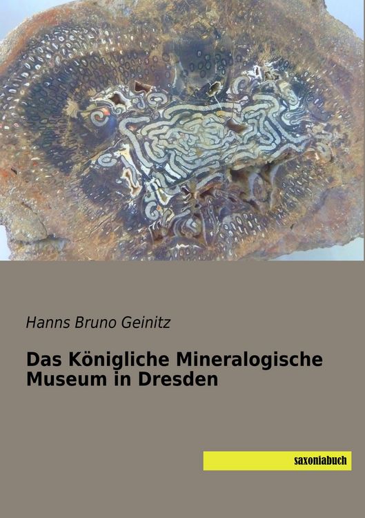 Produktbild: Das K&ouml;nigliche Mineralogische Museum in Dresden