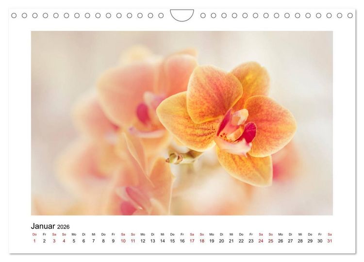 Produktbild: Oranger Bl&uuml;tentraum (Wandkalender 2026 DIN A4 quer), CALVENDO Monatskalender