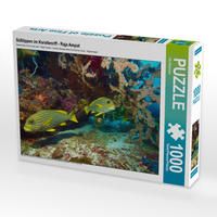 Produktbild: CALVENDO Puzzle S&uuml;&szlig;lippen im Korallenriff Raja Ampat | 1000 Teile Lege-Gr&ouml;&szlig;e 64x48cm Foto-Puzzle f&uuml;r gl&uuml;ckliche Stunden