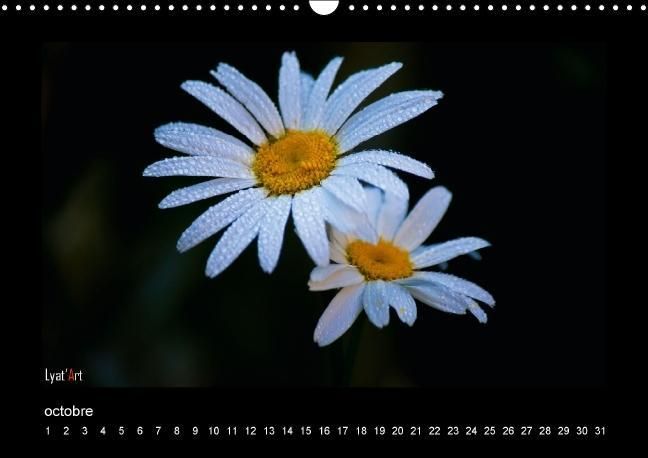 Produktbild: Liatard, A: Fleurs et couleurs (Calendrier mural Calendrier