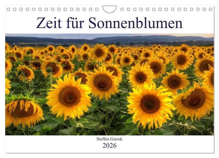 Produktbild: Zeit f&uuml;r Sonnenblumen (Wandkalender 2026 DIN A4 quer), CALVENDO Monatskalender