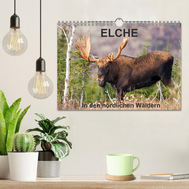 Produktbild: ELCHE In den n&ouml;rdlichen W&auml;ldern (Wandkalender 2026 DIN A4 quer), CALVENDO Monatskalender