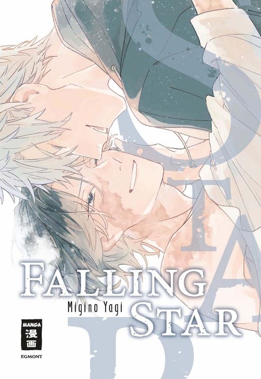 Produktbild: Falling Star