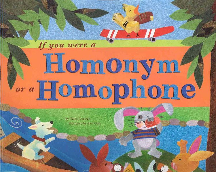 Produktbild: If You Were a Homonym or a Homophone