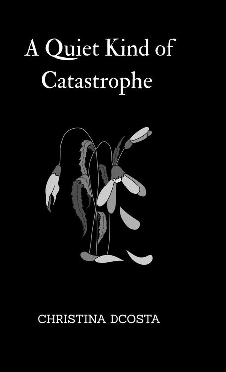Produktbild: A Quiet Kind of Catastrophe