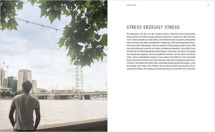 Produktbild: Der Anti-Stress-Plan