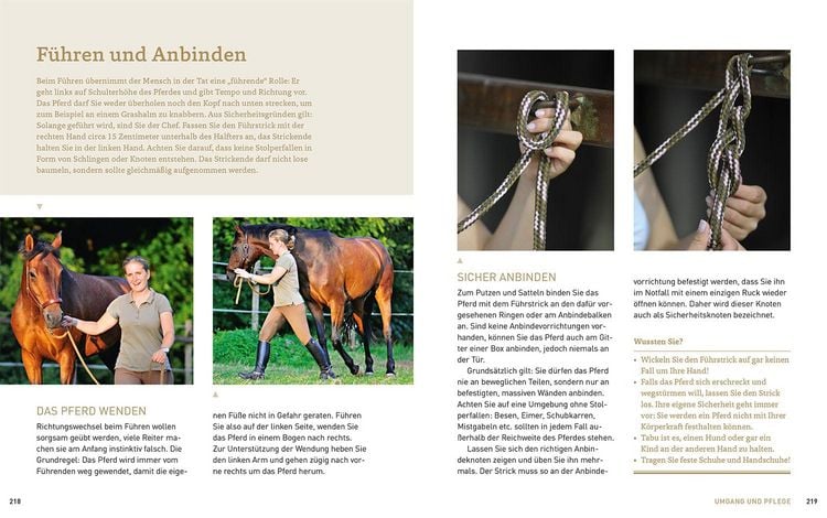 Produktbild: Pferde verstehen, erziehen und reiten