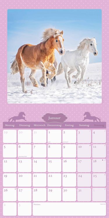Mein Pferdekalender 2026 - Broschürenkalender 30x30 cm (30x60 geöffnet) - Kalender mit Platz für Notizen - Bildkalender - Wandplaner - Wandkalender