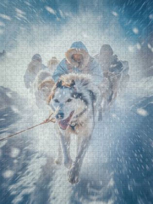 Produktbild: CALVENDO Puzzle Ein Motiv aus dem Kalender Schlittenhunderennen | 1000 Teile Lege-Gr&ouml;&szlig;e 64x48cm Foto-Puzzle f&uuml;r gl&uuml;ckliche Stunden