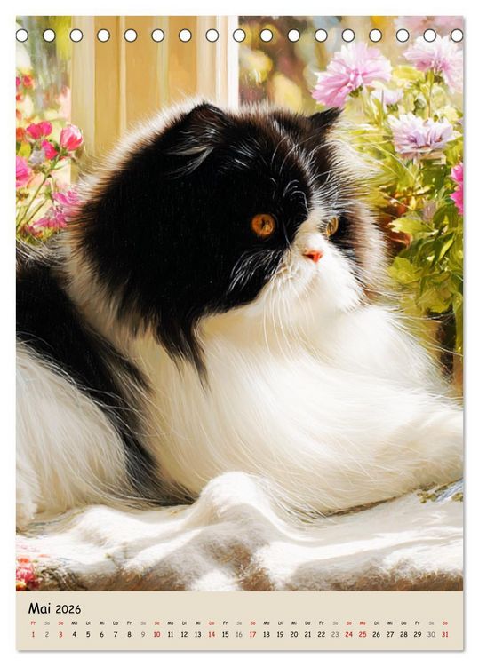Produktbild: Perserkatzen. Zauberhafte Langhaar-Divas in Szene gesetzt (Tischkalender 2026 DIN A5 hoch), CALVENDO Monatskalender