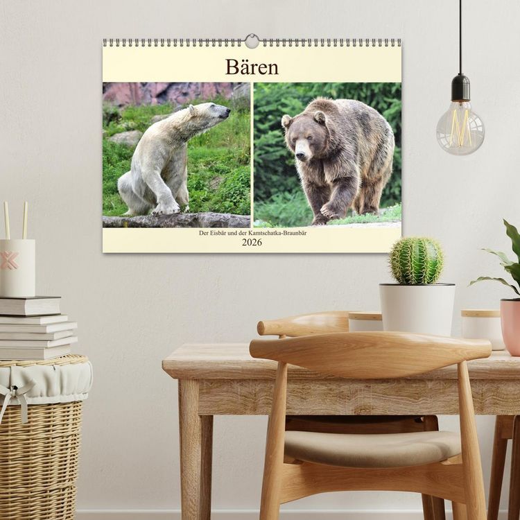 Produktbild: B&auml;ren - Der Eisb&auml;r und der Kamtschatka-Braunb&auml;r (Wandkalender 2026 DIN A3 quer), CALVENDO Monatskalender