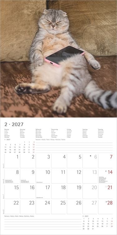 Produktbild: Funny Cats 2027