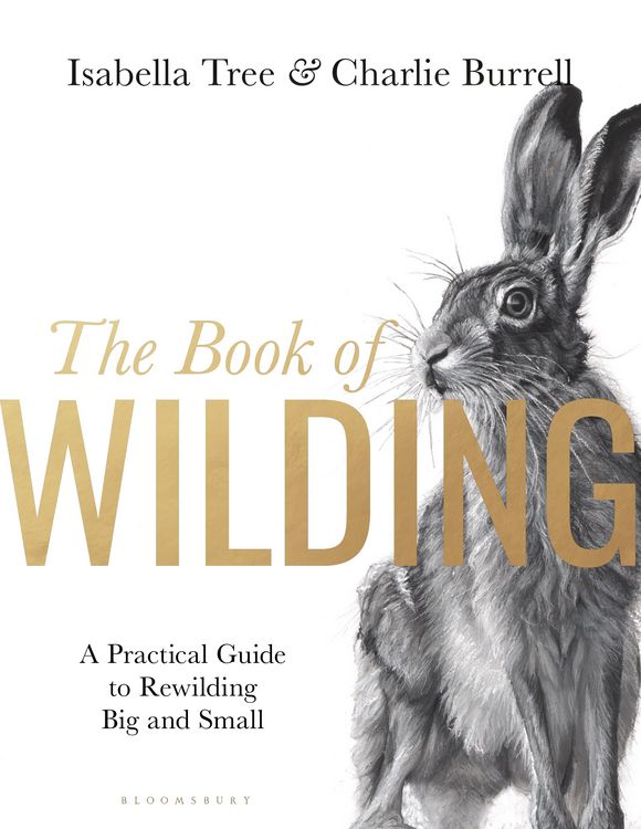 Produktbild: The Book of Wilding