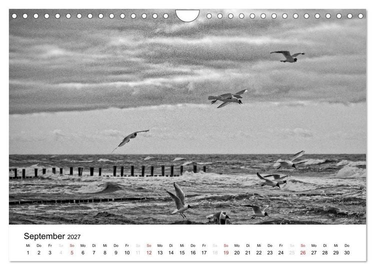 Produktbild: Ostseebad Zingst - Impressionen in Schwarz-Wei&szlig; (Wandkalender 2027 DIN A4 quer), CALVENDO Monatskalender