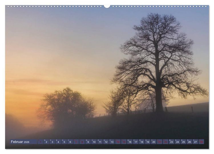Produktbild: Augenschmaus Pf&auml;lzer Wald (Wandkalender 2026 DIN A2 quer), CALVENDO Monatskalender