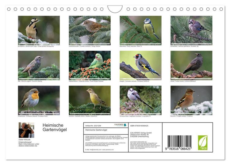 Produktbild: Heimische Gartenv&ouml;gel (Wandkalender 2026 DIN A4 quer), CALVENDO Monatskalender