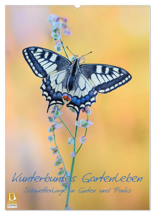 Produktbild: Kunterbuntes Gartenleben - Schmetterlinge in G&auml;rten und Parks (Wandkalender 2026 DIN A2 hoch), CALVENDO Monatskalender