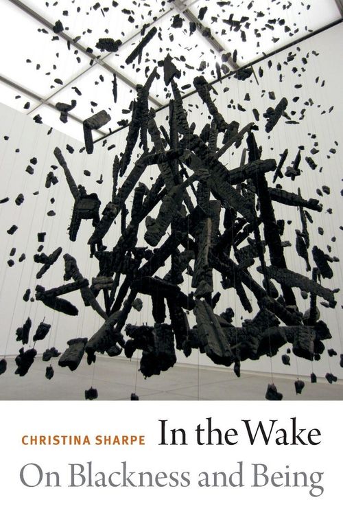 Produktbild: In the Wake