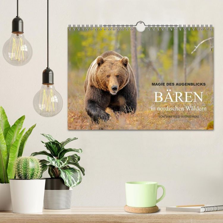 Produktbild: Magie des Augenblicks - B&auml;ren in nordischen W&auml;ldern (Wandkalender 2027 DIN A4 quer), CALVENDO Monatskalender