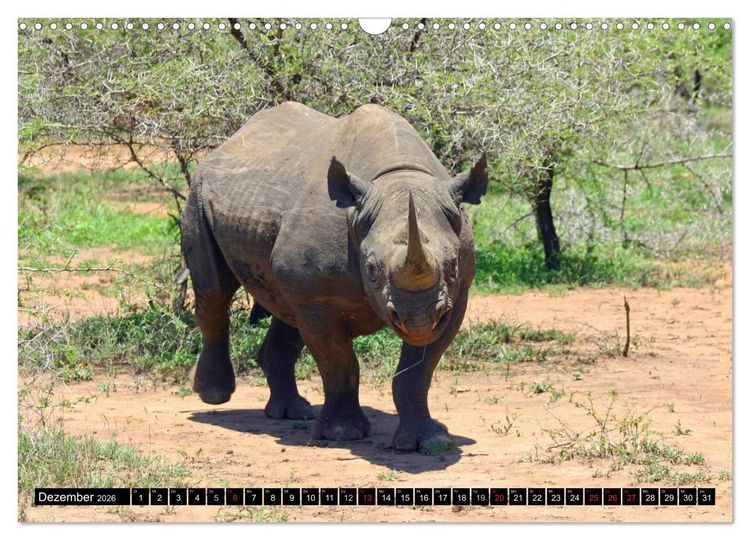 Produktbild: Wildes Leben in Afrika (Wandkalender 2026 DIN A3 quer), CALVENDO Monatskalender