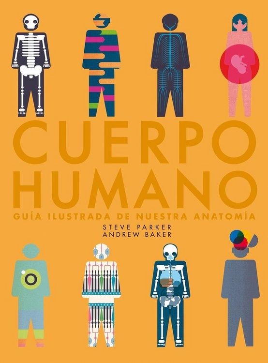 Produktbild: Cuerpo humano : gu&iacute;a ilustrada de nuestra anatom&iacute;a