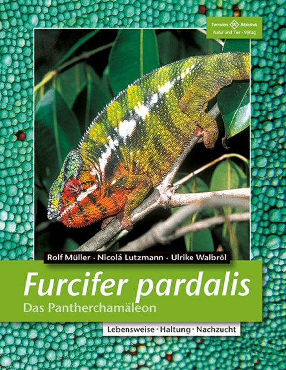 Produktbild: Furcifer pardalis - Das Panthercham&auml;leon