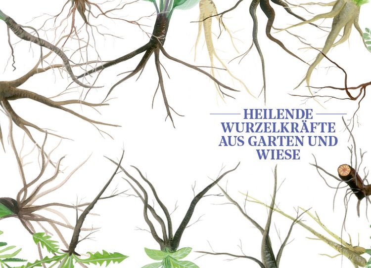 Produktbild: Die Kraft der Wurzeln