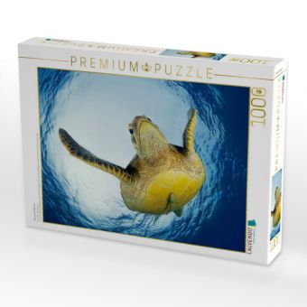 Produktbild: CALVENDO Puzzle Meeresschildkr&ouml;te | 1000 Teile Lege-Gr&ouml;&szlig;e 64x48cm Foto-Puzzle f&uuml;r gl&uuml;ckliche Stunden