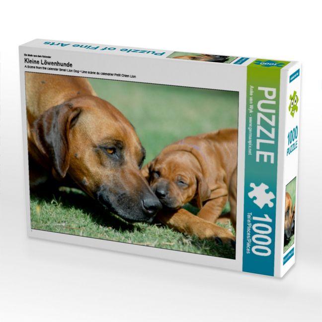 Produktbild: CALVENDO Puzzle Ein Motiv aus dem Kalender Kleine L&ouml;wenhunde | 1000 Teile Lege-Gr&ouml;&szlig;e 64x48cm Foto-Puzzle f&uuml;r gl&uuml;ckliche Stunden