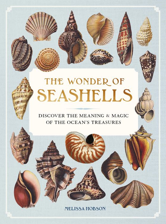 Produktbild: The Wonder of Seashells