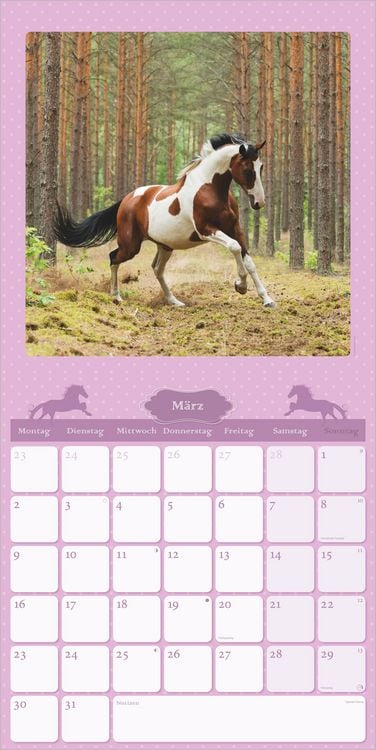 Produktbild: Mein Pferdekalender 2027