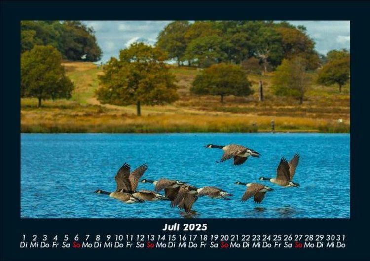 Produktbild: Seeblick 2025 Fotokalender DIN A5