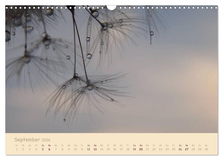 Produktbild: Unscheinbare Sch&ouml;nheit - Pusteblume (Wandkalender 2026 DIN A3 quer), CALVENDO Monatskalender