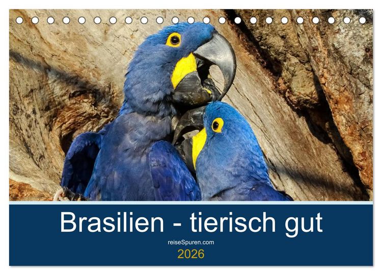 Produktbild: Brasilien tierisch gut 2026 (Tischkalender 2026 DIN A5 quer), CALVENDO Monatskalender