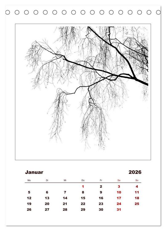 Produktbild: LignoGrafica - Muster und Strukturen der B&auml;ume (Tischkalender 2026 DIN A5 hoch), CALVENDO Monatskalender