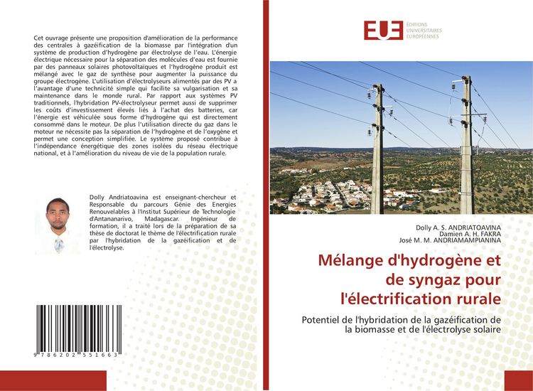 Produktbild: M&eacute;lange d'hydrog&egrave;ne et de syngaz pour l'&eacute;lectrification rurale