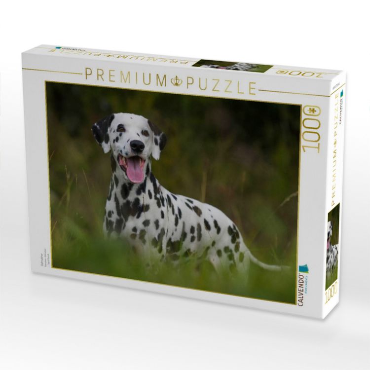 Produktbild: CALVENDO Puzzle Dalmatiner | 1000 Teile Lege-Gr&ouml;&szlig;e 64x48cm Foto-Puzzle f&uuml;r gl&uuml;ckliche Stunden