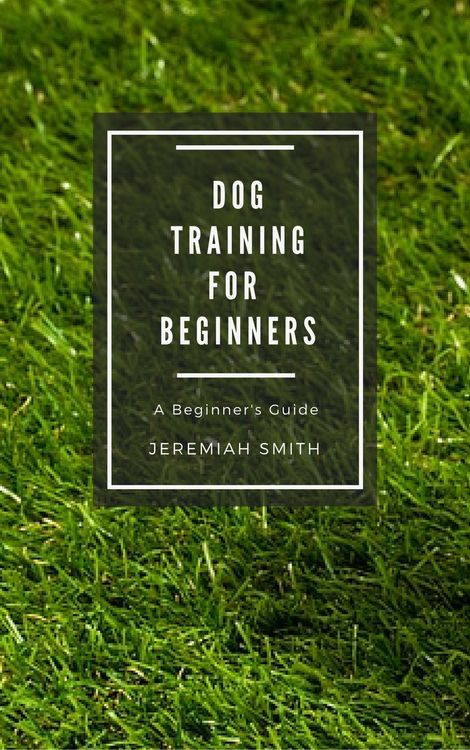 Produktbild: Dog Training for Beginners