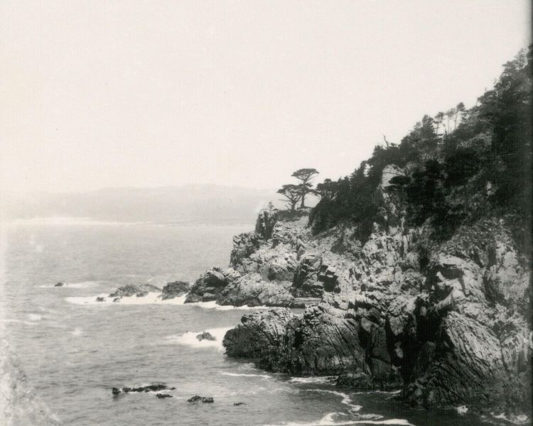 Produktbild: Tin Can Coast