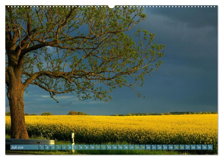 Produktbild: Buschvitz - Geografischer Mittelpunkt der Insel R&uuml;gen (hochwertiger Premium Wandkalender 2026 DIN A2 quer), Kunstdruck in Hochglanz